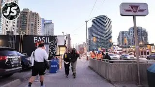 Steeles to Finch Station in Newtonbrook | North York, Toronto Walk