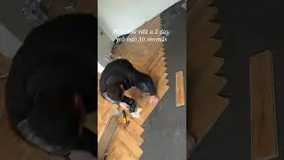 Herringbone Laminate Flooring UK #renovation #flooringsurgeons