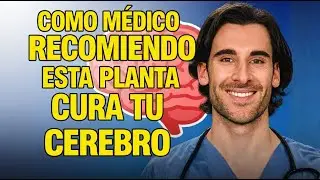 Las 5 Plantas Que Un Neurólogo Recomienda Para Proteger Tu Cerebro