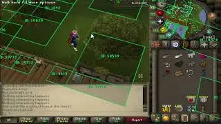 Things you didn't know about Trees in OSRS