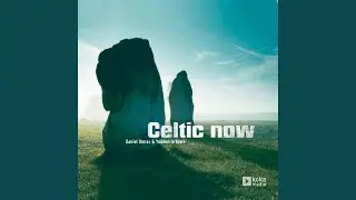 Celtic Hero