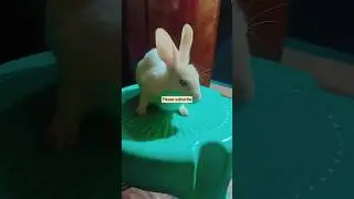 chiku vlog  please support me gyes