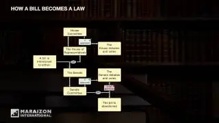 Legal Graphics - How a Bill Becomes a Law - Descriptive Animation