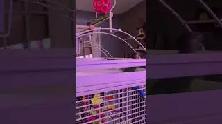 #engagednotcaged