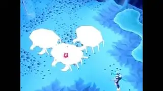 Killing King Sand Crabs 🔽