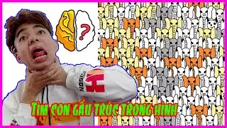 Brain Out Phần 3 | ThắnG T&ecirc; T&ecirc; T&igrave;m Con Gấu Tr&uacute;c Trong H&igrave;nh