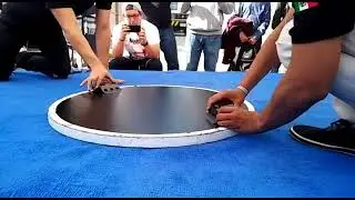 Final Minisumo/ Iktan vs Kraken #x-mas robotics challenge