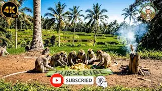 द मंकी शेफ्स विलेज स्टाइल गाजर हलवा रेसिपी The Monkey Chefs Village Style Carrot Halwa Recipe