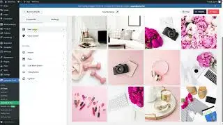 ChicGlow Walkthrough