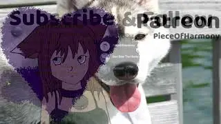Stream Outro Video | darrwolf21.ttv