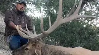 Big bulls U&O Rez