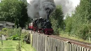 Dampflok Hoya zu Gast auf der Selketalbahn / Teil 1 / 17.08.2024 - Nachmittag