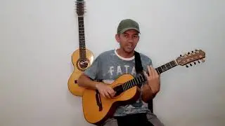 A GAIVOTA (Versão viola)