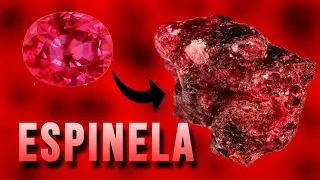 ESPINELA - [10 Datos Que Pocos Conocen]