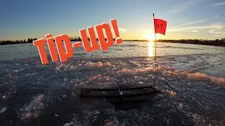 TIP-UP FISHING FOR NORTHERN PIKE ON BEAUTIFUL GLAIR ICE!