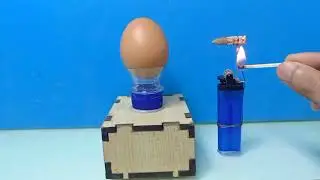 Bullet Vs Eggs Experiments
