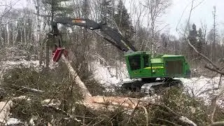 Northern Ontario Logging | John Deere 953mh ￼ processor