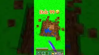Basi segrete Minecraft 🧡