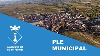 Ple Ordinari | Dt. 28 de maig
