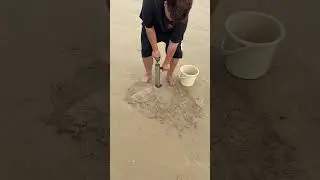 Going to the sea to catch mantis shrimps and directly slapped the mantis shrimps away