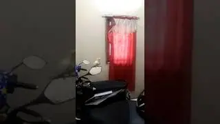 Cara Menjinakan Falk / Parkit Australia...