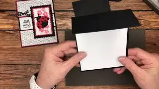 Split Panel Fun Fold Card Using The 🐞Hello Ladybug🐞Bundle From Stampin' Up!