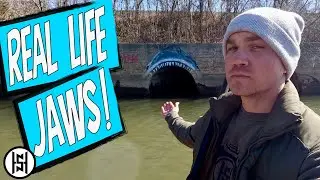 The 1916 New Jersey Shark Attacks Location