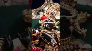 Today&rsquo;s divine shringar darshan of prandhan radharaman laal ju from vrindavan dham 🙇