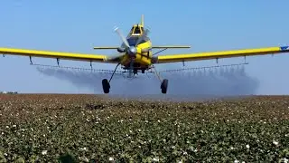 Pesticides in food are reducing sperm count, report says