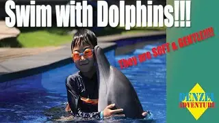 Denzel Adventure - Swim with DOLPHINS at Bali Exotic Marine Park