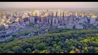 montreal web design 1