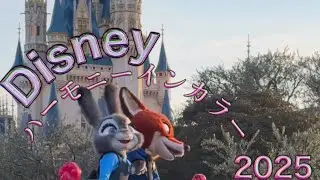 東京ディズニーランド　ディズニーハーモニーインカラー　TokyoDisneyLand 2025