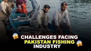 Challenges facing Pakistan fishing industry.