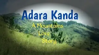 Adara kanda - paraviyangala