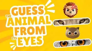 Guess the Animal from Its Eyes! | Wild Animal Edition 🦁🐘🦒