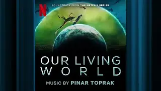 Wood Wide Web | Our Living World | Official Soundtrack | Netflix
