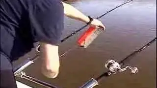 How to use side planer boards for Striped Bass-Team Old School