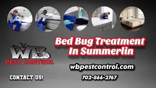 Bed Bug Treatment In Summerlin | WB Pest Control Summerlin