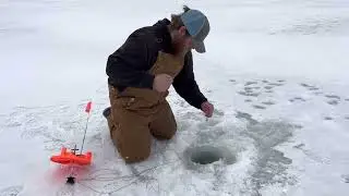 Michigan pike on a tip up