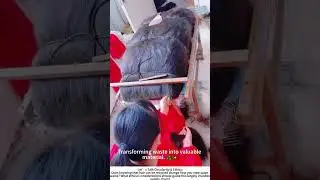 The Untold Journey: Processing Collected Hair 💇&zwj;♀️