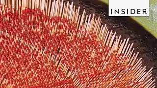 How Matches Are Made