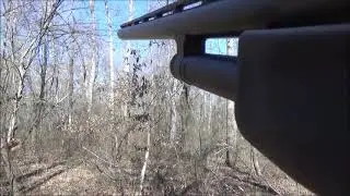 Rabbit Hunt 2020