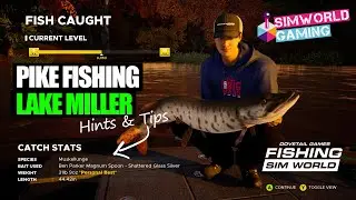 Pike Fishing // Lake Miller at Sunset // Fishing Sim World Pro Tour