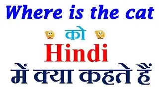 Where is the cat meaning in hindi | Where is the cat ka matlab kya hota hai | Where is the cat