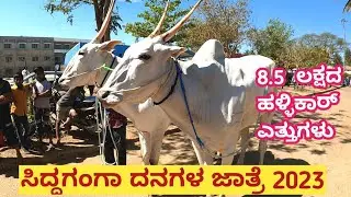 ಸಿದ್ದಗಂಗಾ ದನಗಳ ಜಾತ್ರೆ 2023 | Cattle fair Sree Siddaganga Math Tumkur Karnataka | Hallikar oxen Sale