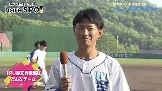 ＩＰＵ環太平洋大学 硬式野球部注目の３選手を紹介　hareSPO!