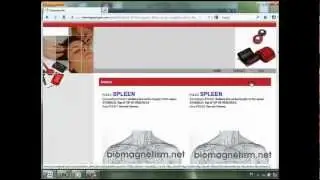 Biomagnetic Pair Search Program