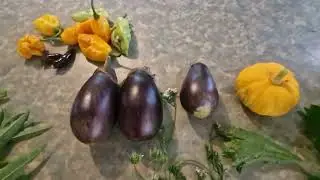 Today's Fresh harvest.