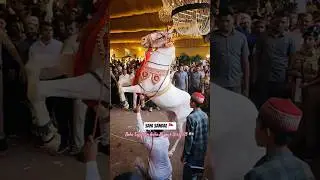 Ghode ki Salami at Baba Tajuddin Aulia Nagpur | Sahi Sandal 🚩
