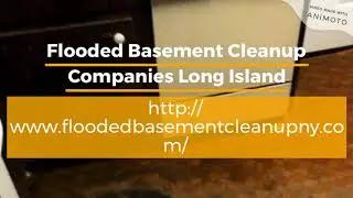 Flooded Basement Cleanup Companies Long Island
